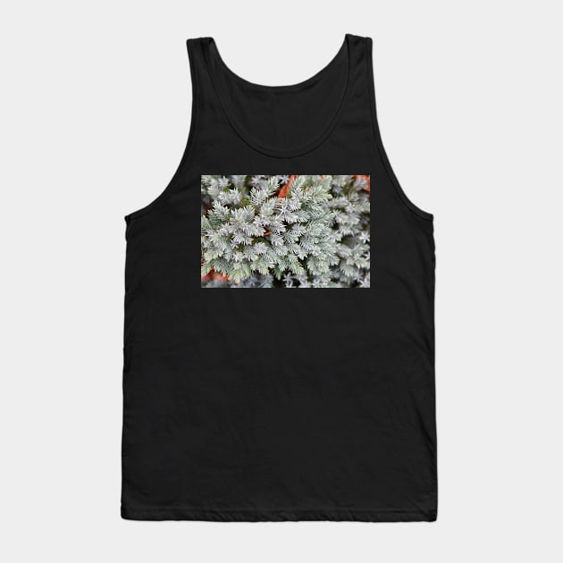 Winter fir Tank Top by HappyPawtraits